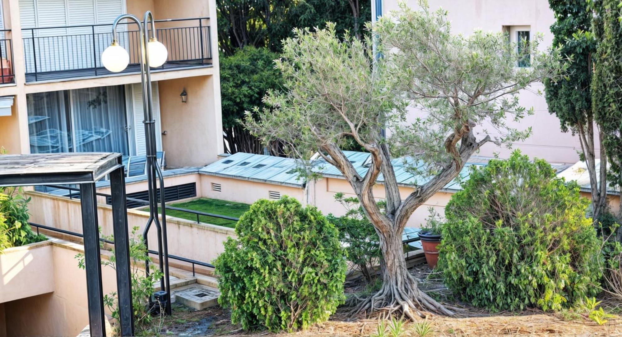 Precioso Apartamento Reformado En 1Ra Linea De Mar Sin Vistas كاليلا دو بالافروجيل الغرفة الصورة